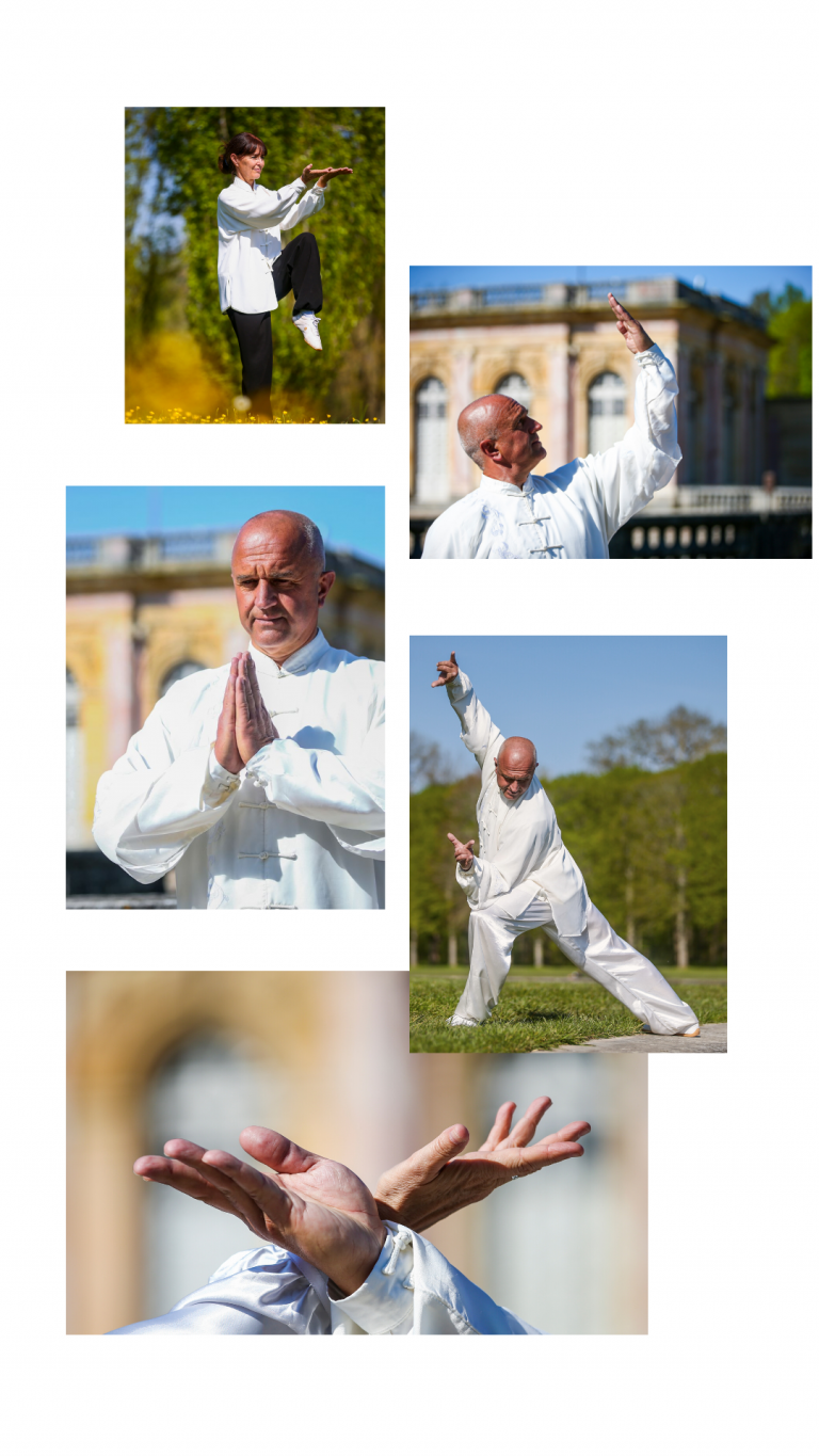 formation qi gong école tao